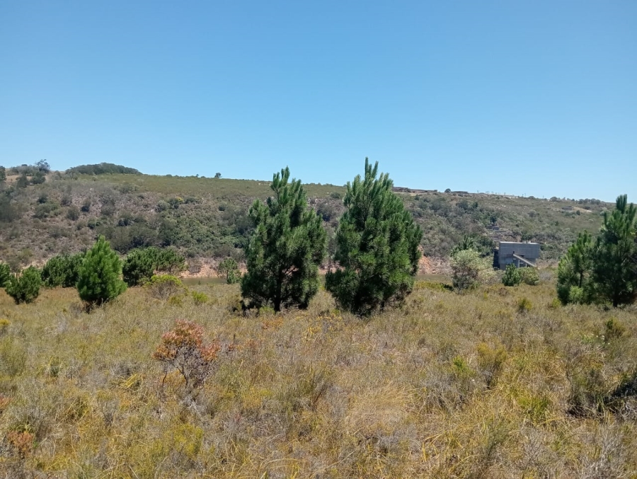 Commercial Property for Sale in Humansdorp Rural Eastern Cape